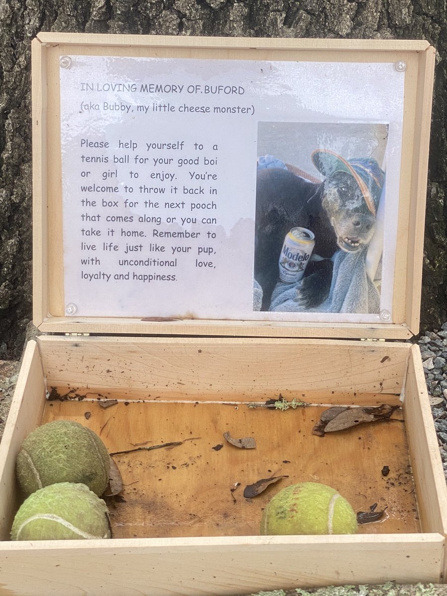 This was left at the dog park and I’m crying!! 😭😭♥️