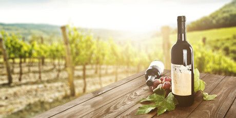 FoodProcessAU's tweet photo. COVID-19 leads to decline in US wine market volumes
Read more https://t.co/XukcnDrmZ0

#industrynews #latestarticles #modellingwork #WineIntelligence #COVID19 #consumerinsights #data #wineconsumption #US #Offpremisevolumes https://t.co/7x6Ai1hP1t