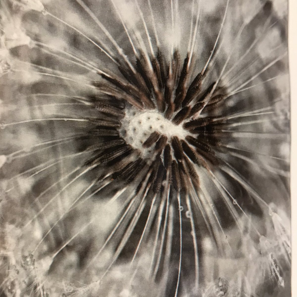 Superleuke plaids voor 29,95 in verschillende dessins.