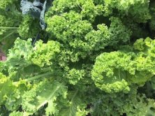 Submersion13's tweet image. 楽しそうな雰囲気だけ感じられるdiscrete differential geometryの研究
arxiv.org/pdf/2006.14461…

やっぱ時代はDDGでしょう
勉強したことないけど

#DifferentialGeometry