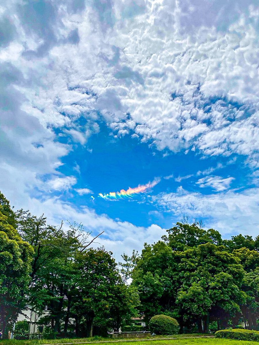 虹色の雲 とても綺麗で珍しい景色に感動 話題の画像プラス