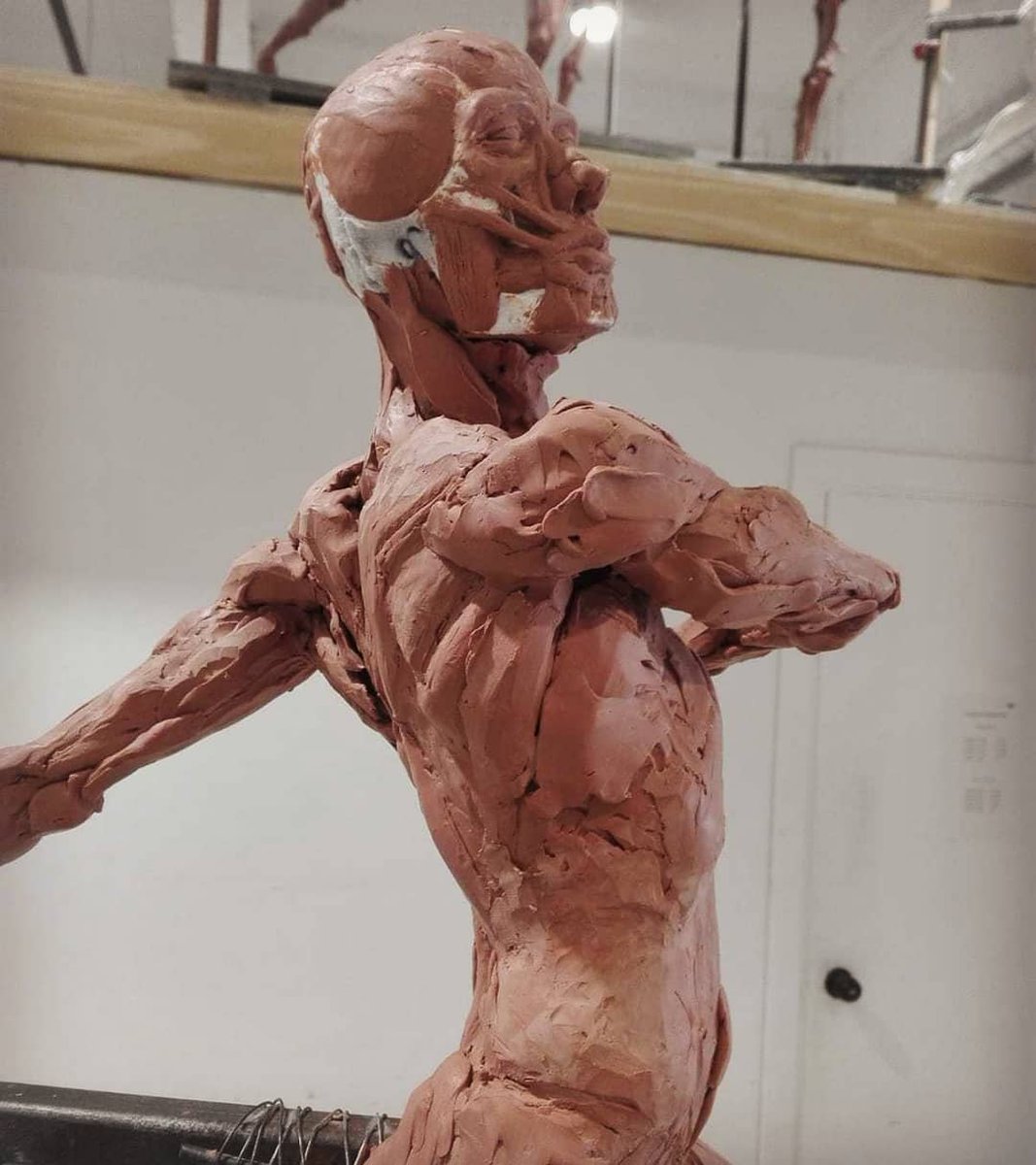 screenclay's tweet image. With Barcelona academy of art 
Opening their gates once again, we are #backtowork!
The final few weeks of our #écorché program have resumed, and it is wonderful to see the work of our students in person again! These pictures are from the weekend.
#anatomytraining #screenclayfx