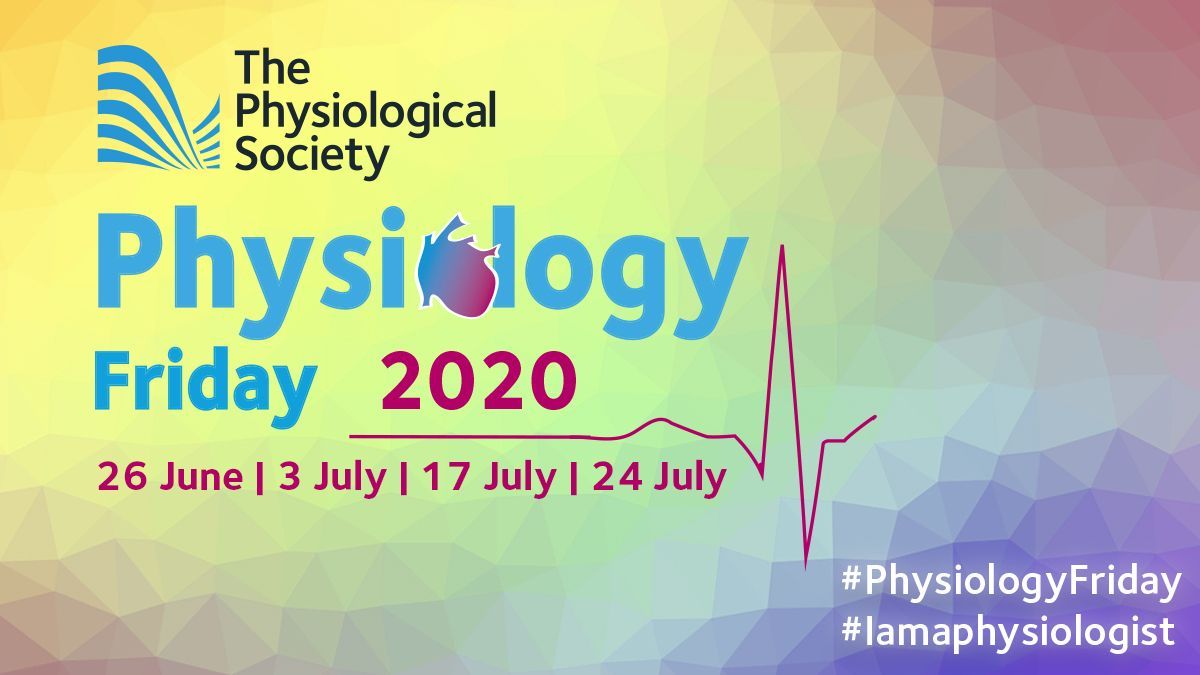PhySoc's tweet image. The first in our #PhysiologyFriday summer series is here! We invite you to post on social media today using the hashtag #iamaphysiologist expressing what you love about physiology or why you chose to make a career in the field.
