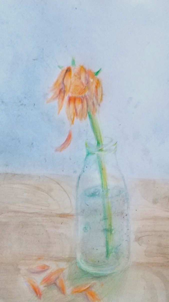 海彩本 傘 落書き イラスト イラスト好きな人と繋がりたい 花 色鉛筆イラスト 飾ってたガーベラが枯れてしまっていたので描きました どんなに綺麗な花でも最後は同じ とポエムを語った T Co P54l007roj Twitter