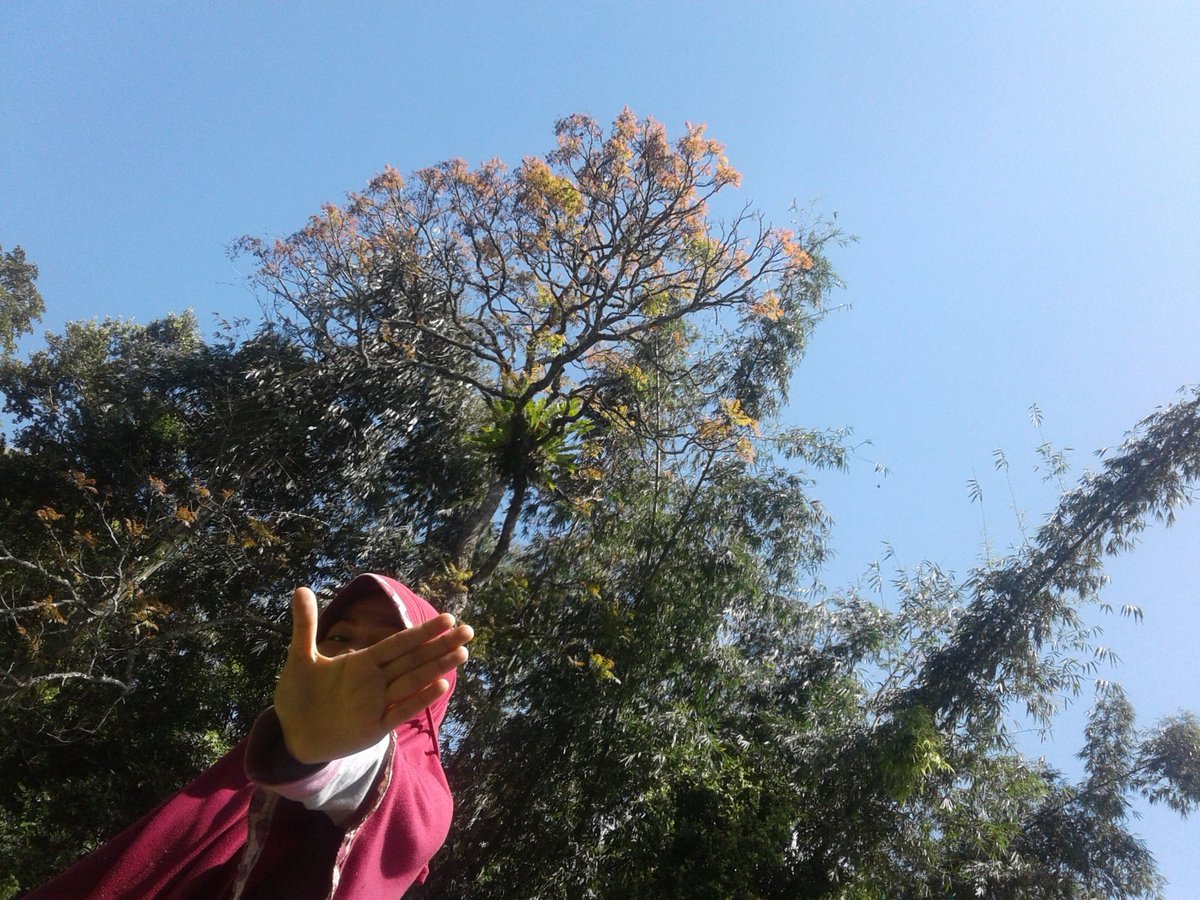 FauziahAzmi3199's tweet photo. Stoooppp Gosip
Yukk kita cintai alam dan lindunginya
Jika dia terlindungi maka kita akan aman

Drpd ngomongin hidup org, lbih baik kerjakan yg bermanfaat

Hidup sehat
Hijaukan Bumi
🍃🍃🌳🍀 https://t.co/GeL4zlo7ON