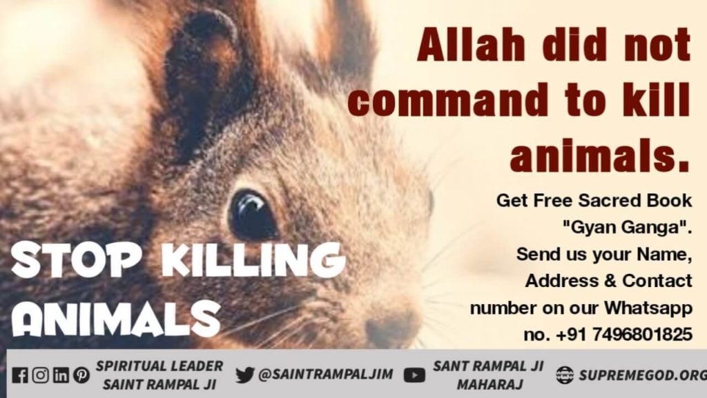 Karuna Sahu🍁 в Twitter: „#MeatEaters_Are_Sinners Stop Killing Animals ! Allah did not command to kill innocent animals. Listen Spiritual knowledge by Saint Rampal Ji Maharaj on IshwarTV Channel 8:30 PM. /CKO62tdyFr“ / Karuna Sahu🍁 в Twitter: „#MeatEaters_Are_Sinners Stop Killing Animals ! Allah did not command to kill innocent animals. Listen Spiritual knowledge by Saint Rampal Ji Maharaj on IshwarTV Channel 8:30 PM. /CKO62tdyFr“ /