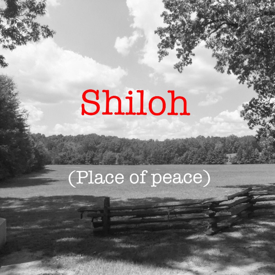 sonsofsoil's tweet image. It's won't be at the level it was, but this song sparked a renewed call to serve. 🎶

Coming Winter 2020 / 21