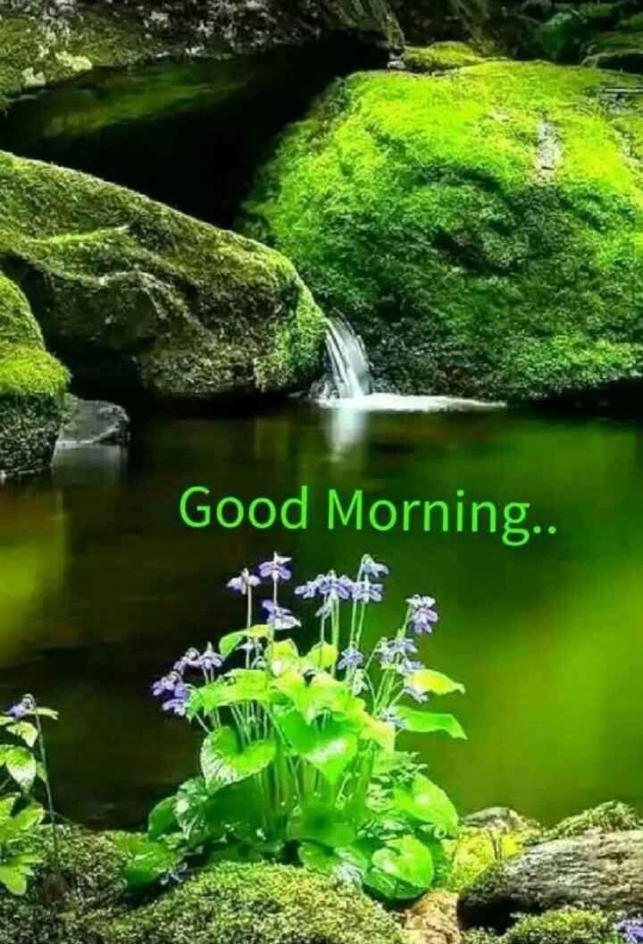 Suburaja9's tweet photo. @DrLavena https://t.co/lb4KsTB2z2