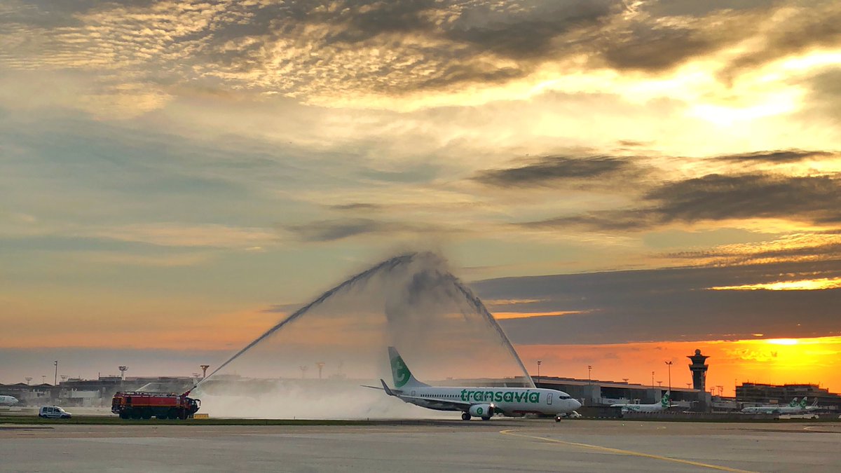 ArnaudGaulupeau's tweet photo. Good morning Paris-#Orly ! Tellement heureux de te retrouver... Même le ciel te rend hommage ce matin ! #AvGeek 🛫 https://t.co/FFjblCIUVh