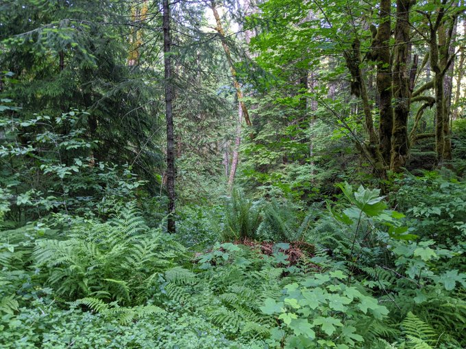 Pretty much living tlou2 https://t.co/Pbr0jRClIZ<a href="/tag/mvsales"class="tags"><span>#mvsales</span></a><a href="/tag/mvtrans"class="tags"><span>#mvtrans</span></a>