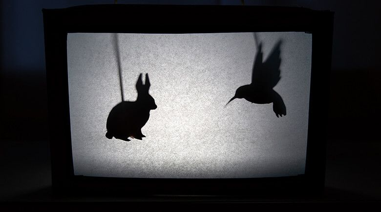 ContigoHogar's tweet photo. Teatro en casa con títeres 🐇🐇 

Materiales: 

Caja de cereal vacía.

Papel translúcido (puede ser papel cebolla o papel para hornear).

Papel gris o negro.

Palos de madera.

Cinta.

Tijeras.

Pegamento.

C��ter exacto.

Lámpara.

https://t.co/ObFdOVsQ9a https://t.co/NqvTkSYWSr
