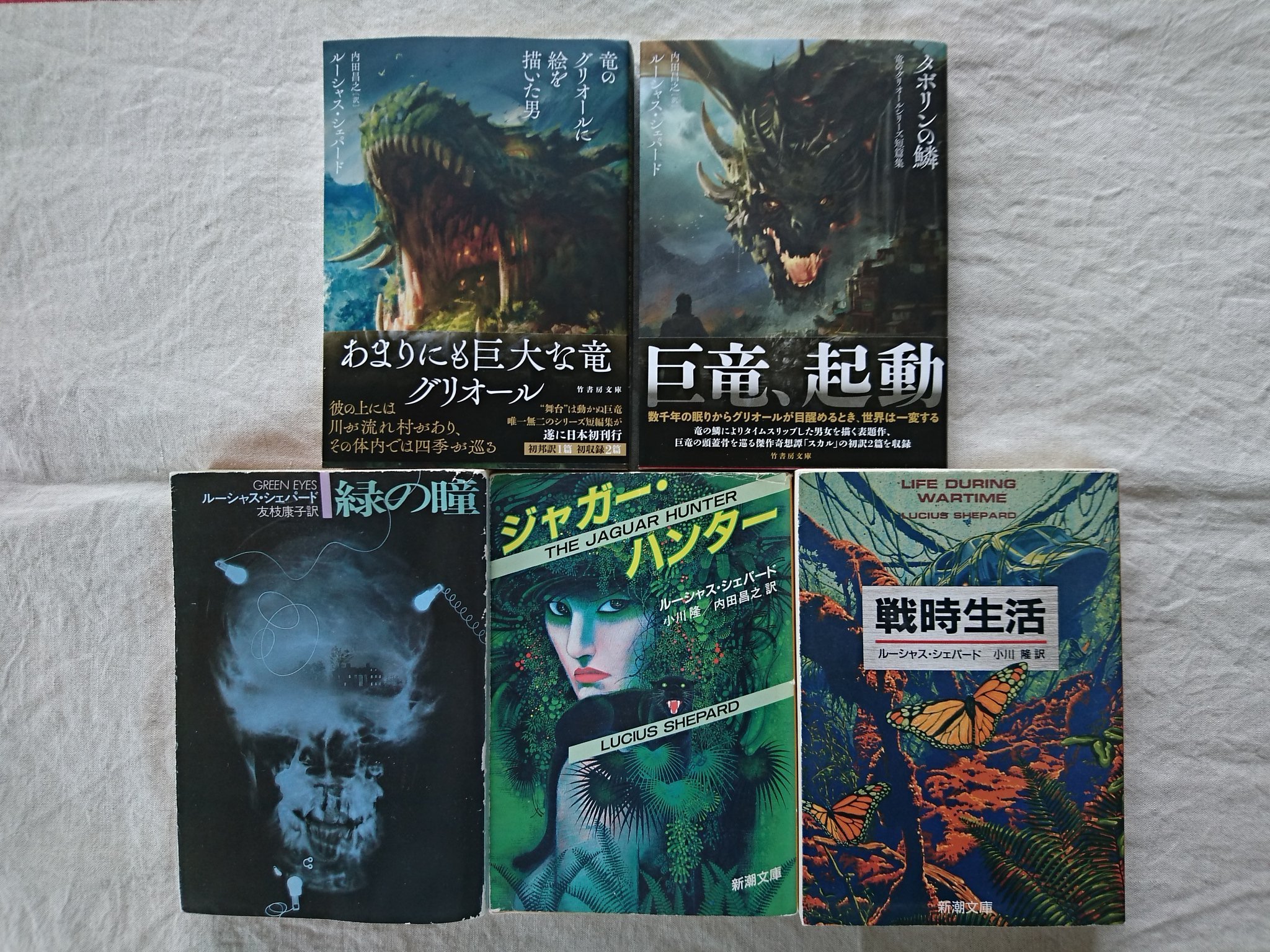 Books Tea Bt この竹書房文庫がすごい総選挙 なんといってもルーシャス シェパード 竜のグリオールに絵を描いた男 です 悲願のグリオール シリーズの書籍化 この機会にひとりシェパード祭 Btの本棚
