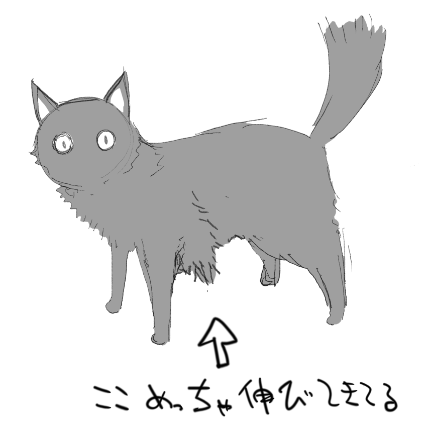 なぜかこぐまの腋毛が伸びてきてるw
こんな感じw 