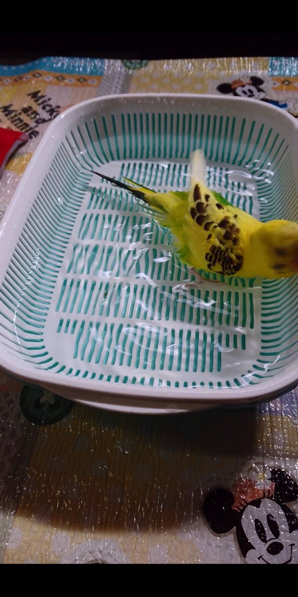 な により です