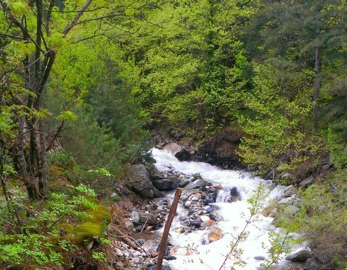 📍 Küreklidere Şelalesi / BURSA

Küreklidere Şelalesinde kamp yapmak istiyorsanız, girişten itibaren şelaleye kadar olan 2 km’lik yolda şelaleye ulaştığınızda solda bulunan basamakları göreceksiniz, eğer seyir teraslarına tırmanmayı göze alırsanız harika bir manzara sizi bekliyor