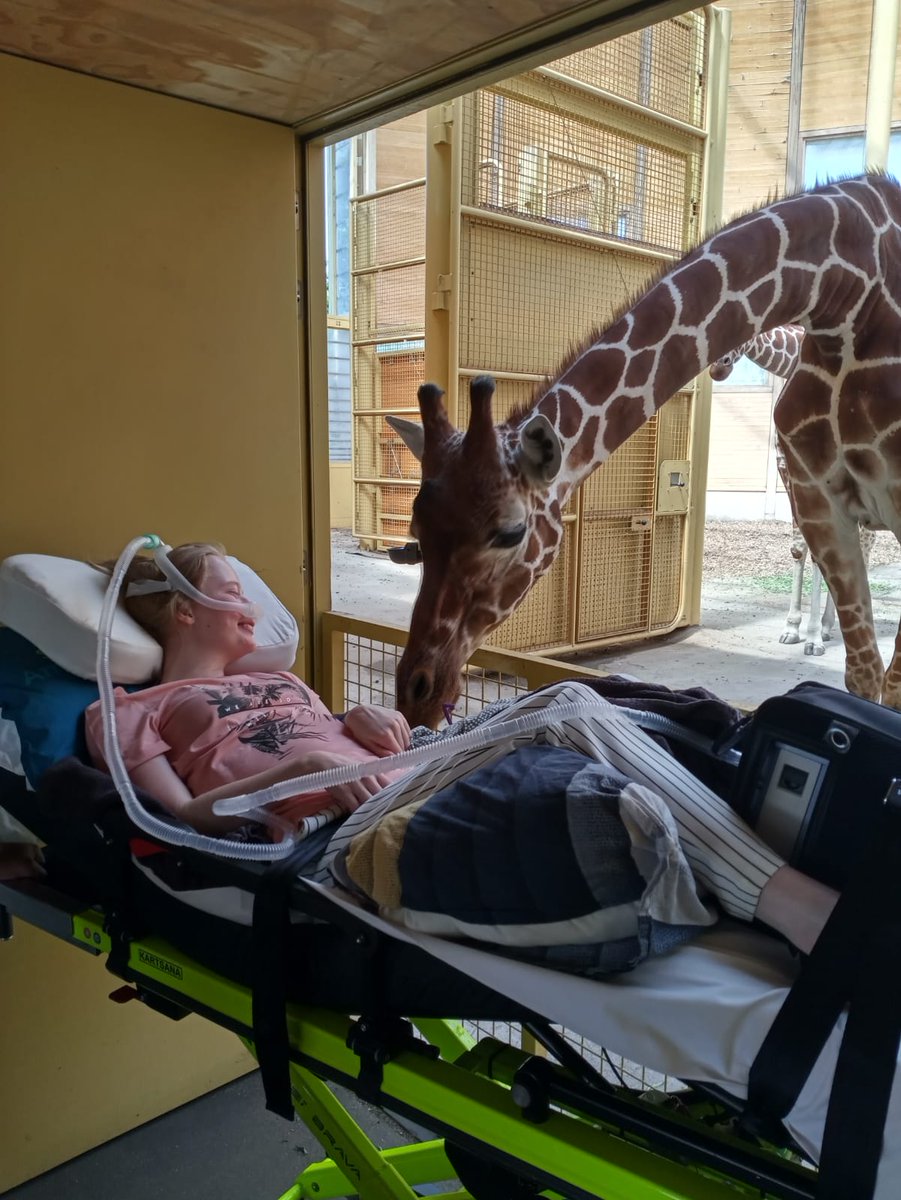 StAmbulancewens's tweet photo. Gisteren kon deze mevrouw nog één keer naar diergaarde Blijdorp. https://t.co/1x5TLkuhhm