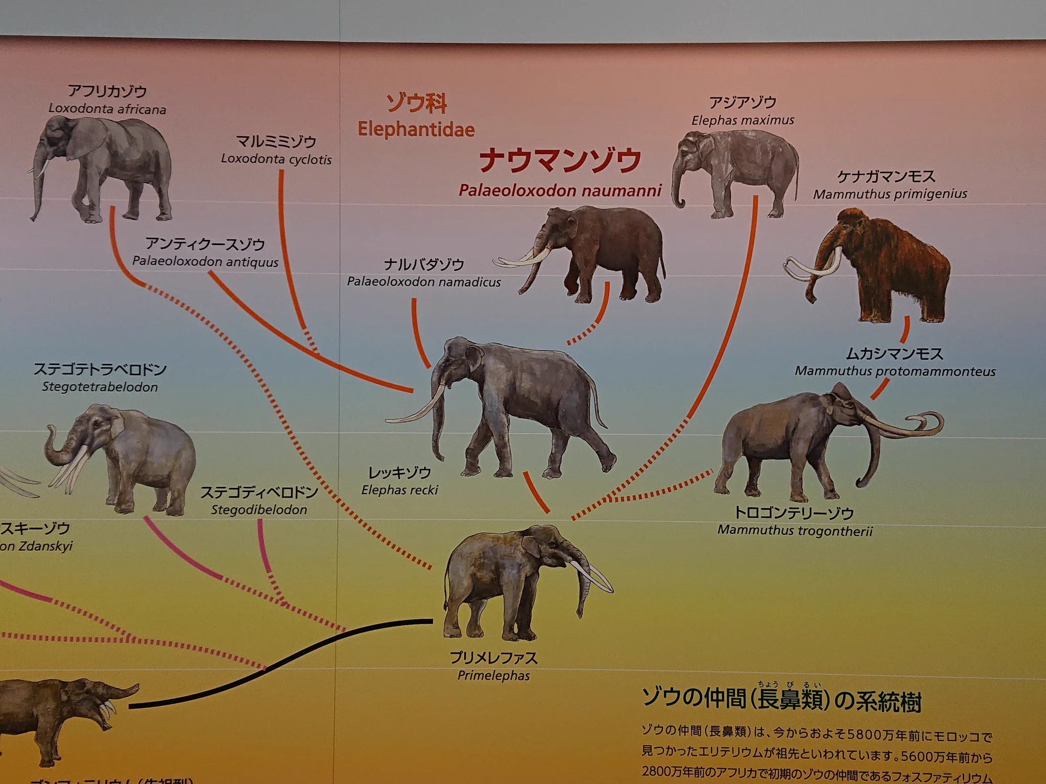 当時のメディア報道・掲載写真