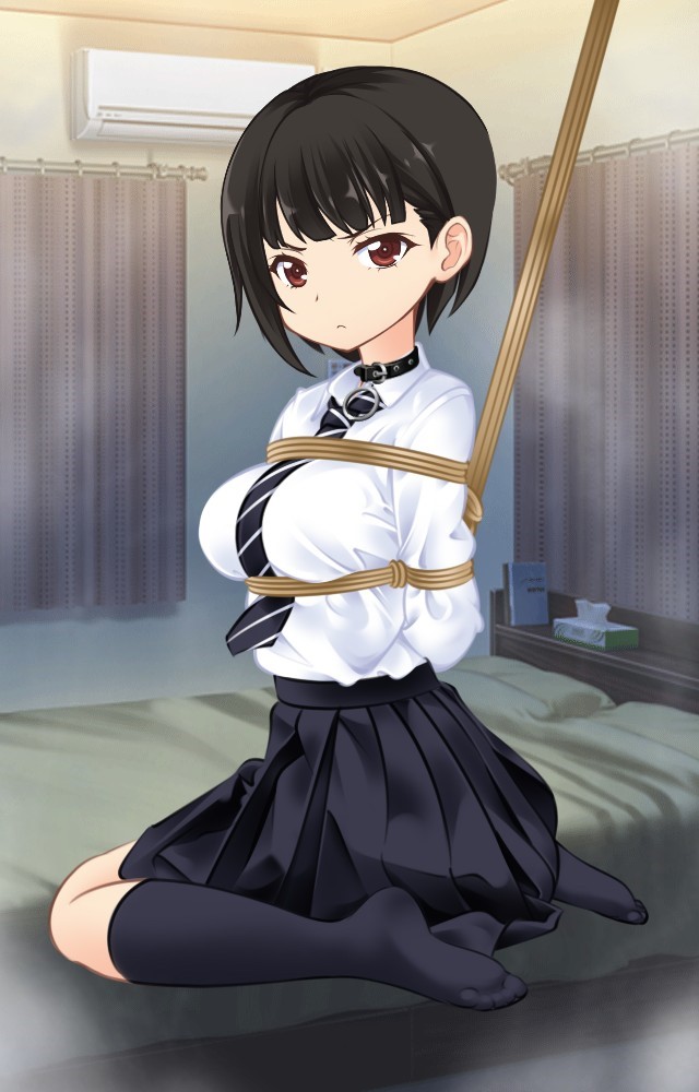 1 非成人向けかつ無課金でこの衣装 そして多彩な表情差分を楽しめる属魂少女は個人的にイチオシ アプリではなくwebサービスなので 少々不便だがスマホでもプレイ可能