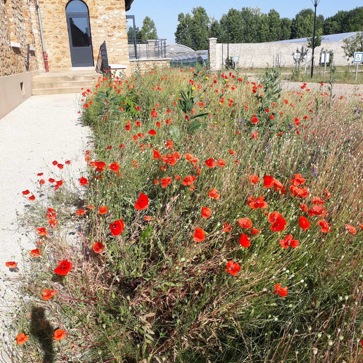Reprise des activités à la maisoncocagne.fr au menu: #transitionecologique #solidarite ? l'économie de la fonctionnalité pour des projets de territoires inclusifs avec le <a href="/reseaucocagne/">Réseau Cocagne</a> 
Un lieu inspirant, accueillant pour #lemondedapres