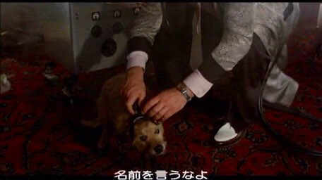 ドラゴン士 V Twitter バック トゥ ザ フューチャー3 ジェニファーの役者が1と2 3では違うことはよく知られていますが 実は犬のコペルニクスも1と3では違うワンコが演じています