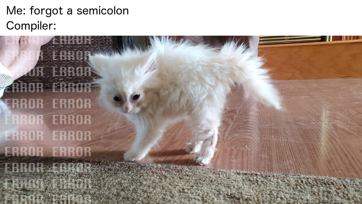 ProgrammerCats's tweet image. Sheesh, don't be so dramatic, compiler! #programmerhumor #codinghumor #codingmemes #programmermemes #programming #codinglife #memes #catmeme