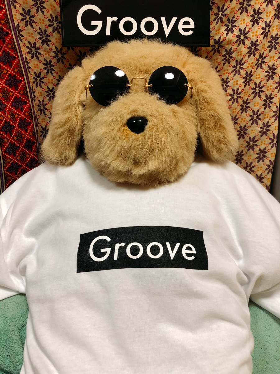 mottos16_s's tweet photo. 私の着用画像で営業妨害にならぬよう、うちイチfunkyな子に着せてみたらこのドヤ顔。かっこええわぁ♡︎
ワンコサイズがあればペアでお散歩とか良き、なんて思った。ワン友さん達とイロチGrooveでそぞろ歩き、とか最高✨
ステッカーもありがとうございました♪
#GrooveFactor 
#GrooveT 
#森多聞 https://t.co/Kaatgl5JtA