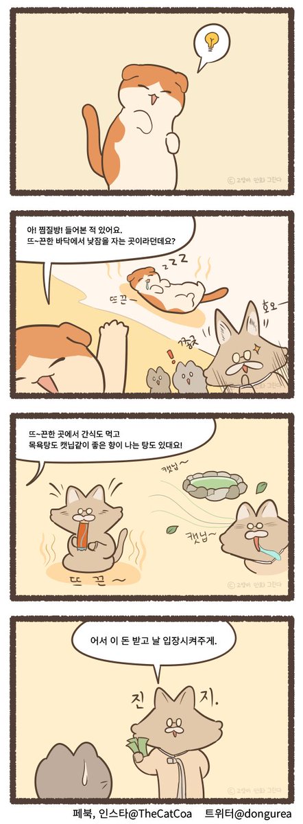 고양이를 위한 찜질방이 생기면 일어나는 일 