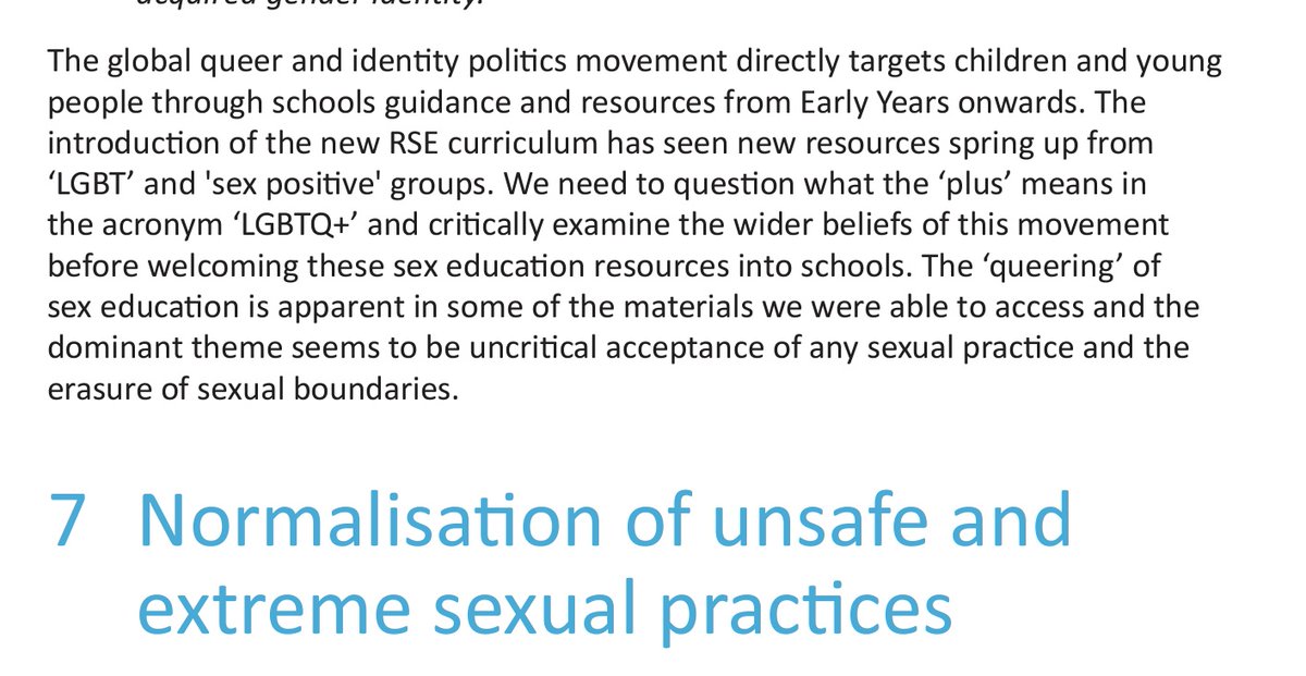 "The global queer and identity politics movement directly targets children and young people" is a very Interesting sentence from an organisation that's definitely ok with the gays