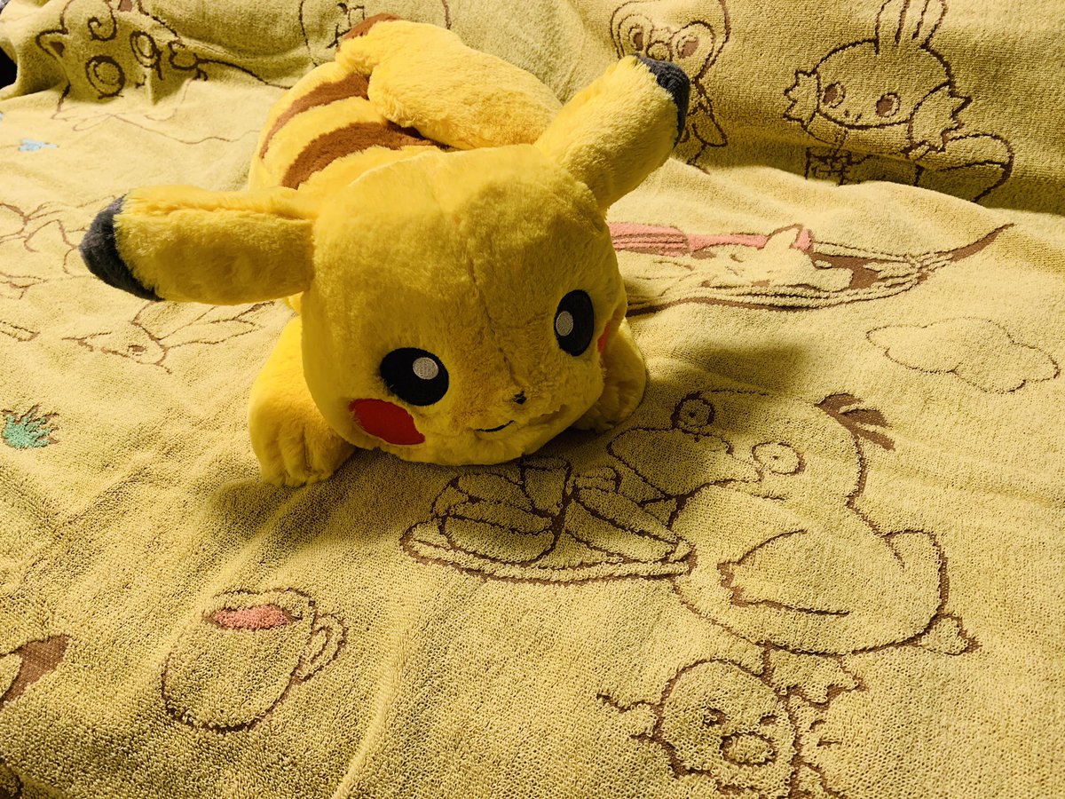 レオモン A Twitter 用事で都内行ったとき ちょっとポケセンでも見ようかなって思って気が付いたら両手に大量の荷物があった この ふわふわ抱きぬいぐるみ ピカチュウ やばい ほんとに なんかもう 生きてるのよ 猫抱いてるみたいな気持ちになる ぬいぐるみ買い