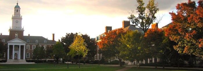  @ChrisKrupenye "i& #39;ll be recruiting phds & postdocs to join my new research group  @johnshopkins from fall 2022. work will span humans, nonhuman apes, & dogs, & topics like theory of mind, social & physical knowledge, mental time travel, origins of the political mind. reach out!"