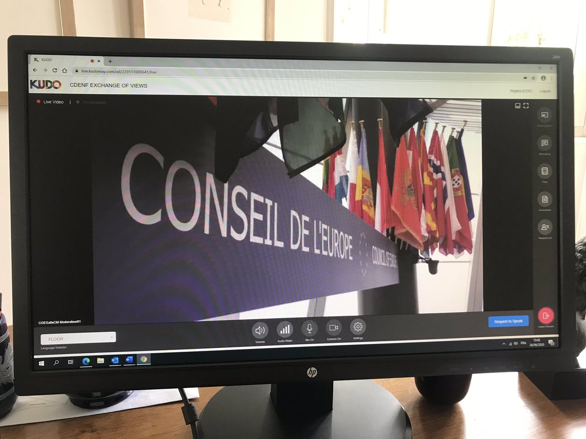 ReginaJensd's tweet photo. Getting ready for the #coe4children #Cdenf exchange on lessons learned and future perspectives for the rights of the child and @coe post Covid 19 https://t.co/cbF4VeSkmn