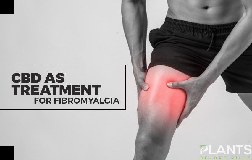 plantsb4pills's tweet photo. CBD as Treatment for Fibromyalgia: Is it Effective? https://t.co/KC0T9zcz6j #cbdbenefits #cbdhealth #Fibromyalgia https://t.co/Sg80aGXmjz