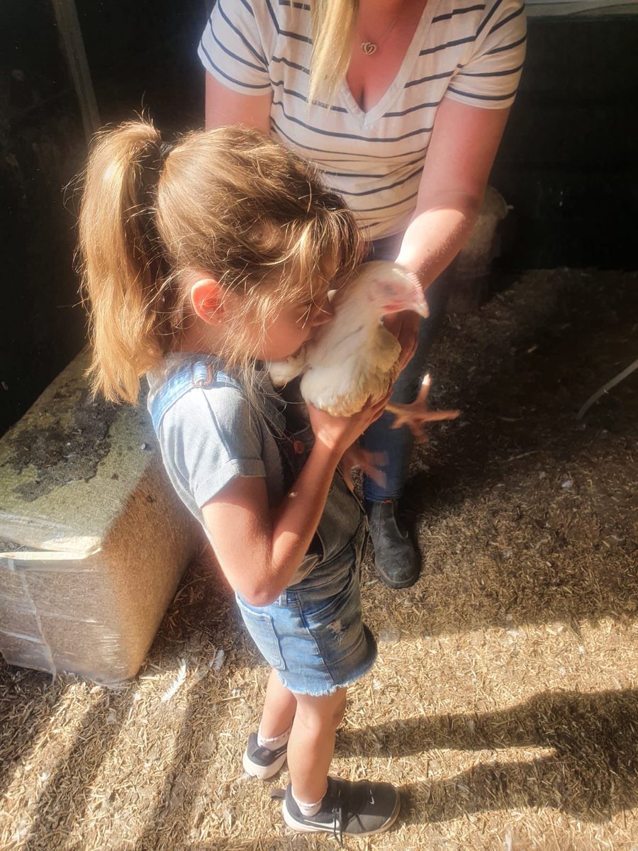 michell64517252's tweet photo. Being and Learning about a key workers jobs, down on the farm. @SWilliams_CHL @CHLPrimary https://t.co/zZdVAFwSH6
