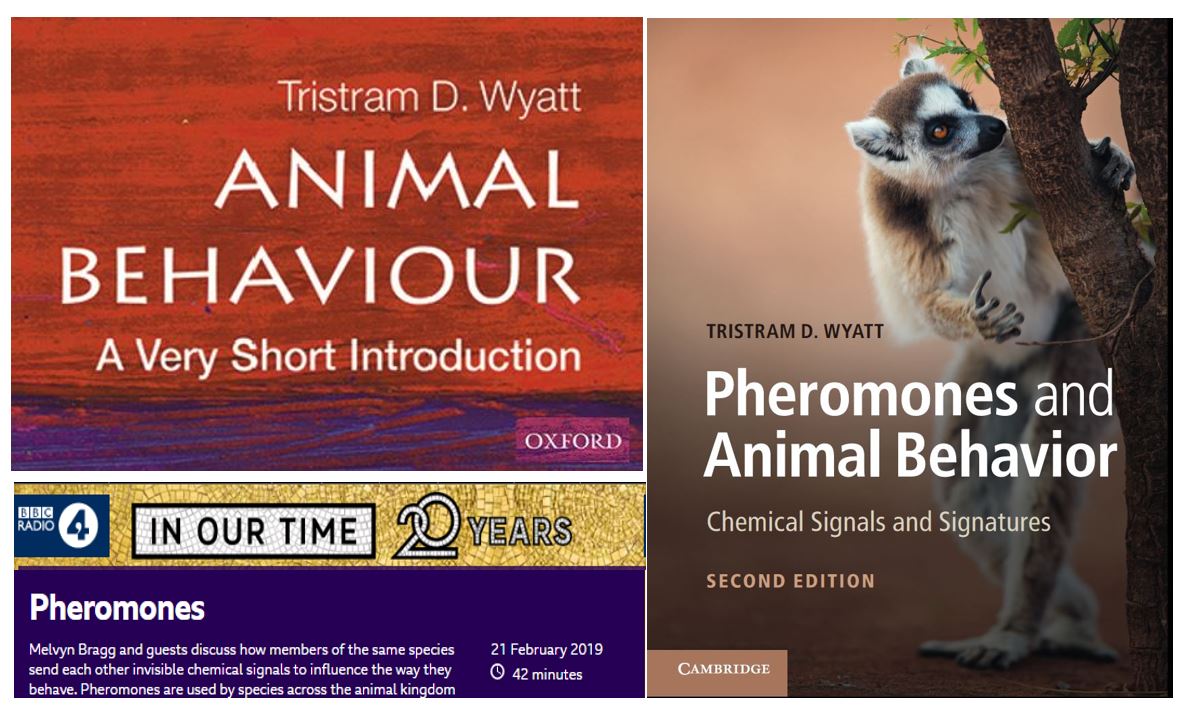  @pheromoneEvo "I'm Tristram Wyatt, based at Zoology, Oxford University  @oxzoodept and UCL  @UCLCBER. I study animal behaviour and pheromones (chemical communication), all across the animal kingdom. I mostly write now."