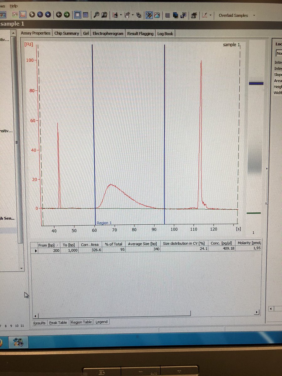 marina_parry's tweet image. One week in the lab &amp;amp; this is what I’ve got to show for it: 150ul of colourless liquid! Aka 2nM of RNASeq library. Trace looks pretty good, @MahmoodAyub &amp;amp; @barbara201503 taught me well. Looking forward to @MazlinaIsm’s analysis of it 👍🏻. #BackInTheLab #StillGotIt