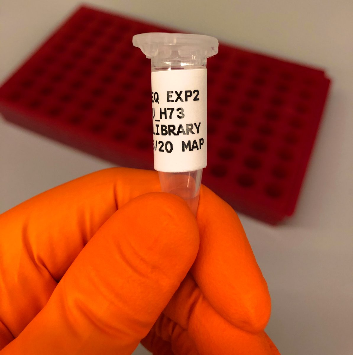 marina_parry's tweet image. One week in the lab &amp;amp; this is what I’ve got to show for it: 150ul of colourless liquid! Aka 2nM of RNASeq library. Trace looks pretty good, @MahmoodAyub &amp;amp; @barbara201503 taught me well. Looking forward to @MazlinaIsm’s analysis of it 👍🏻. #BackInTheLab #StillGotIt