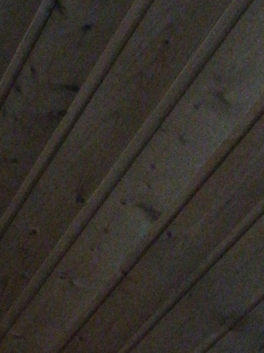 ZFDarius's tweet photo. @ZFPoro Ceiling https://t.co/ah5zn1WkAc