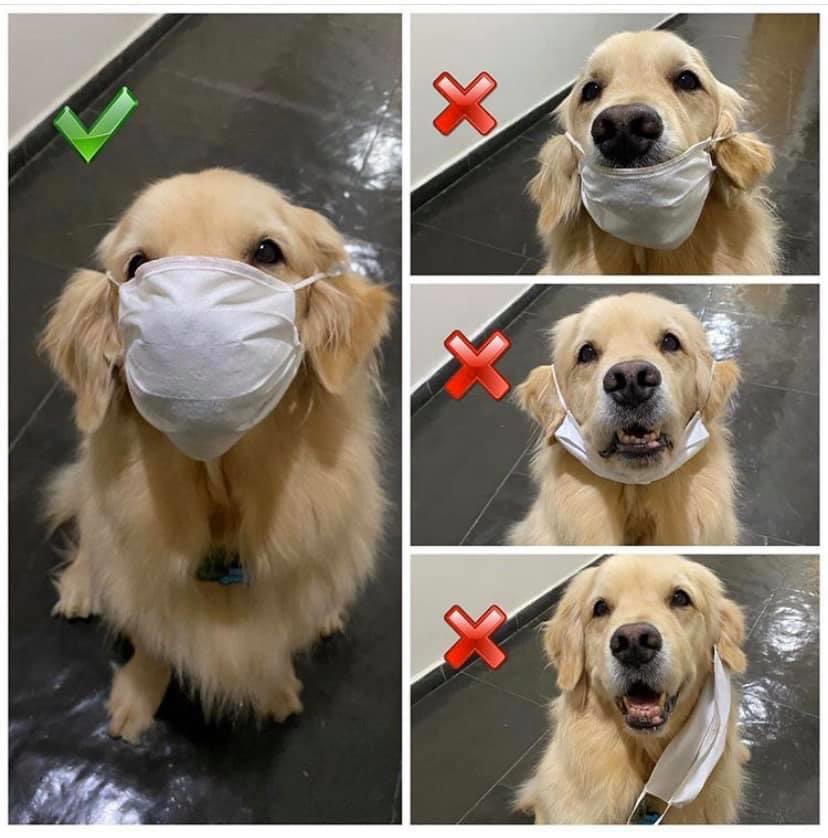 Happy Friday everyone! Week 2 back in the lab <a href="/JHUChemistry/">JHU Chemistry</a> and we are all doing our best to stay #safe. Remember, masks are required at all times while on campus. Make sure to keep your nose and mouth covered! #labsafety