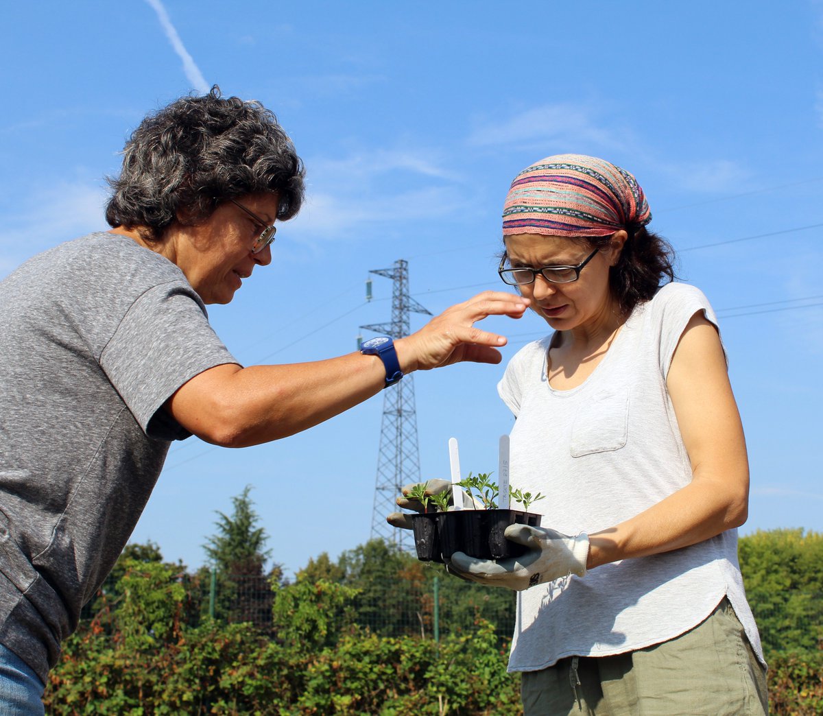 HUMANAITALIA's tweet photo. Sempre più attenzione ai temi dell'#agricolturasostenibile e del cibo a #kmzero. In linea con questo trend, dal 2018 è attivo il progetto #Orto3C. L'attività di #agricolturaurbana non si è fermata nemmeno durante il #lockdown, creando uno spazio di #sostenibilità e #condivisione. https://t.co/FpCM7nsb6G