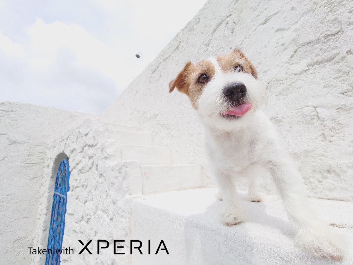 Sony Xperia Russia tweet media