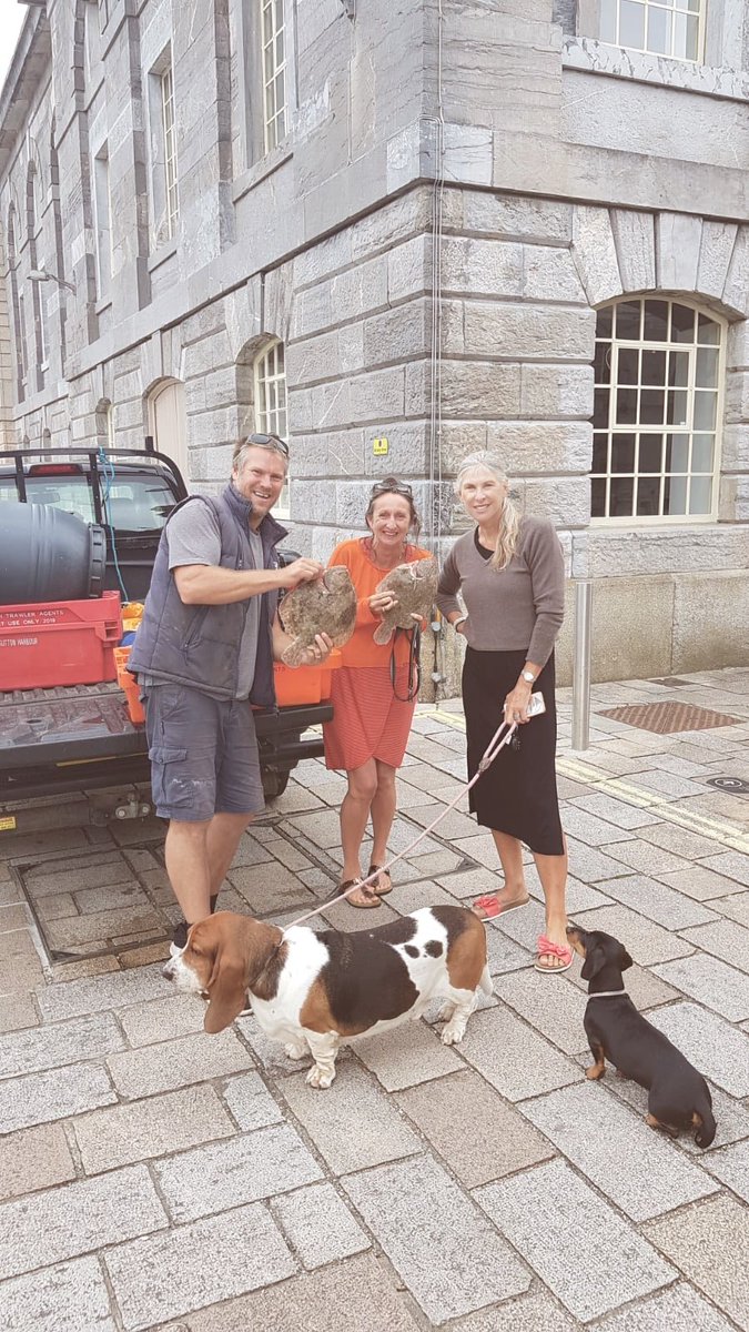 sharrond62's tweet photo. Had the best fish &amp; chips ever @thehookandline for lunch today, Royal William yard, hight praise for a maid’ brought up on them in Plymouth. Just delicious with amazing batter &amp; mushy peas. Loads of brave sea swimmers in too @britainsocean @proudowner https://t.co/OSHgb0KVOD
