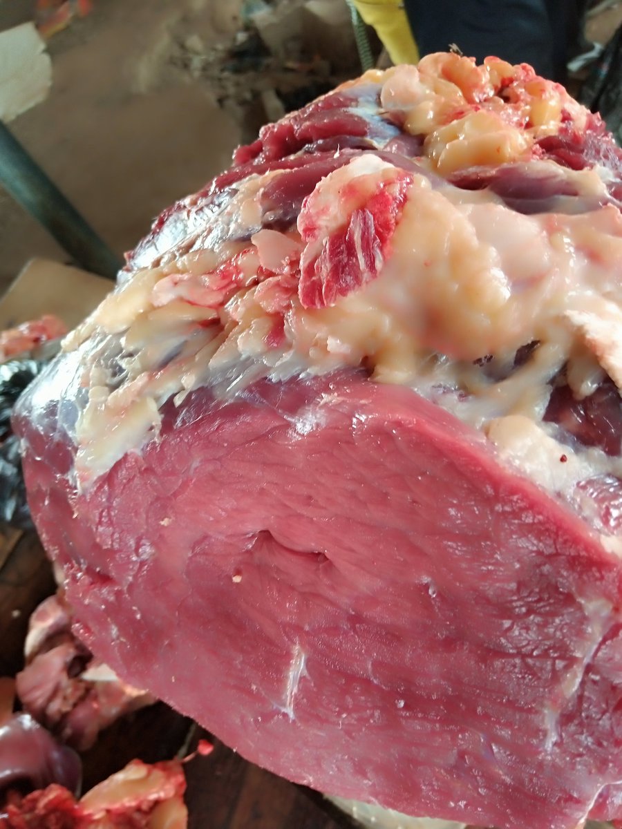AbujaButcher's tweet photo. Your fresh cow meat/beef await you we also sell fresh intentestine place your order now location only withing Abuja pls retweet my client may be on ur tl @Waspapping_ @___FAREED #ArewaFoods
#meat20challenge #meat #BeefHouse #BEEF #recipes #RecipesForThePeople #RecipeOfTheDay https://t.co/7hsmtYQdBL