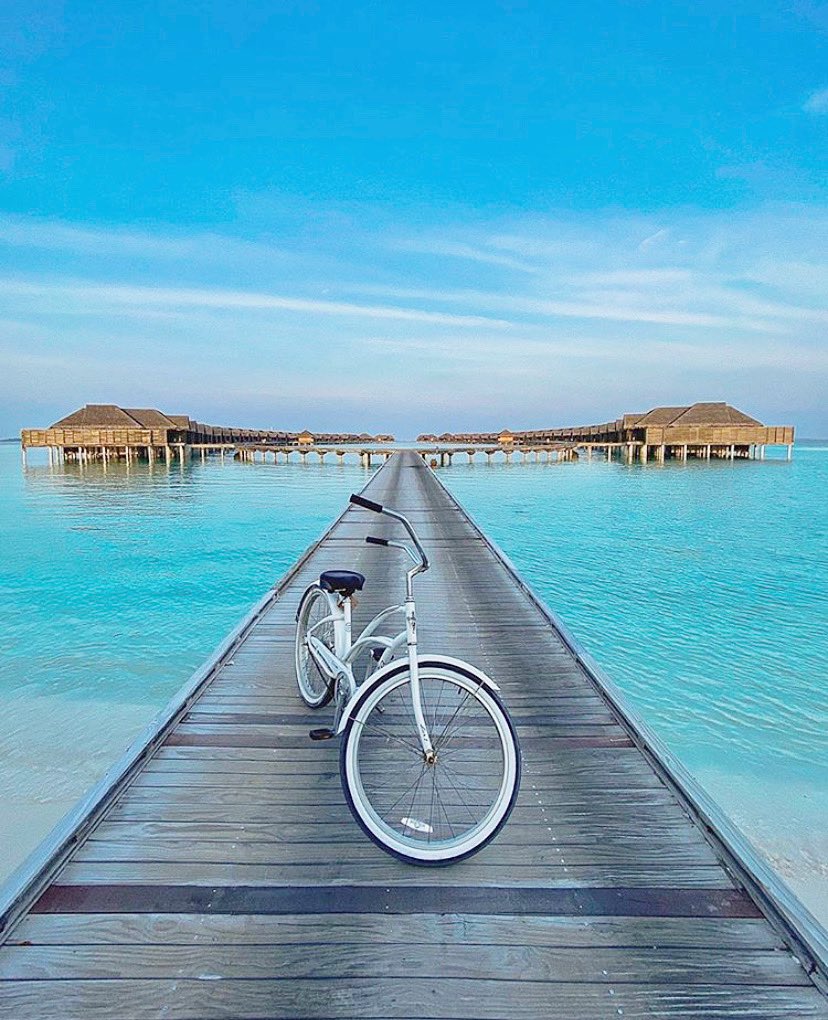 TUIPortugal's tweet photo. Ciclovia à moda das Maldivas 😍

Mais um destino TUI onde esperamos regressar (e pedalar) muito em breve 👏🏼💙✈️ 

#esperamosjuntosviajamosjuntos https://t.co/9lu5m5cV0c