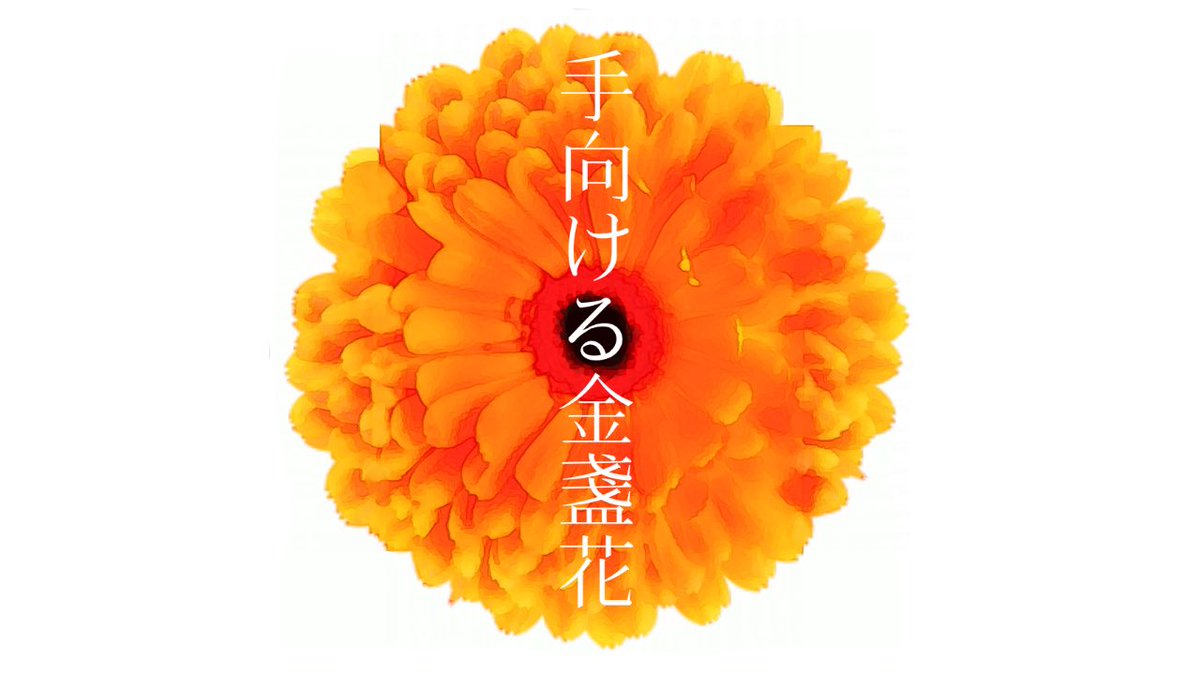 手向ける金盞花 Kinnsennka Twitter 手向ける金盞花 Kinnsennka Twitter