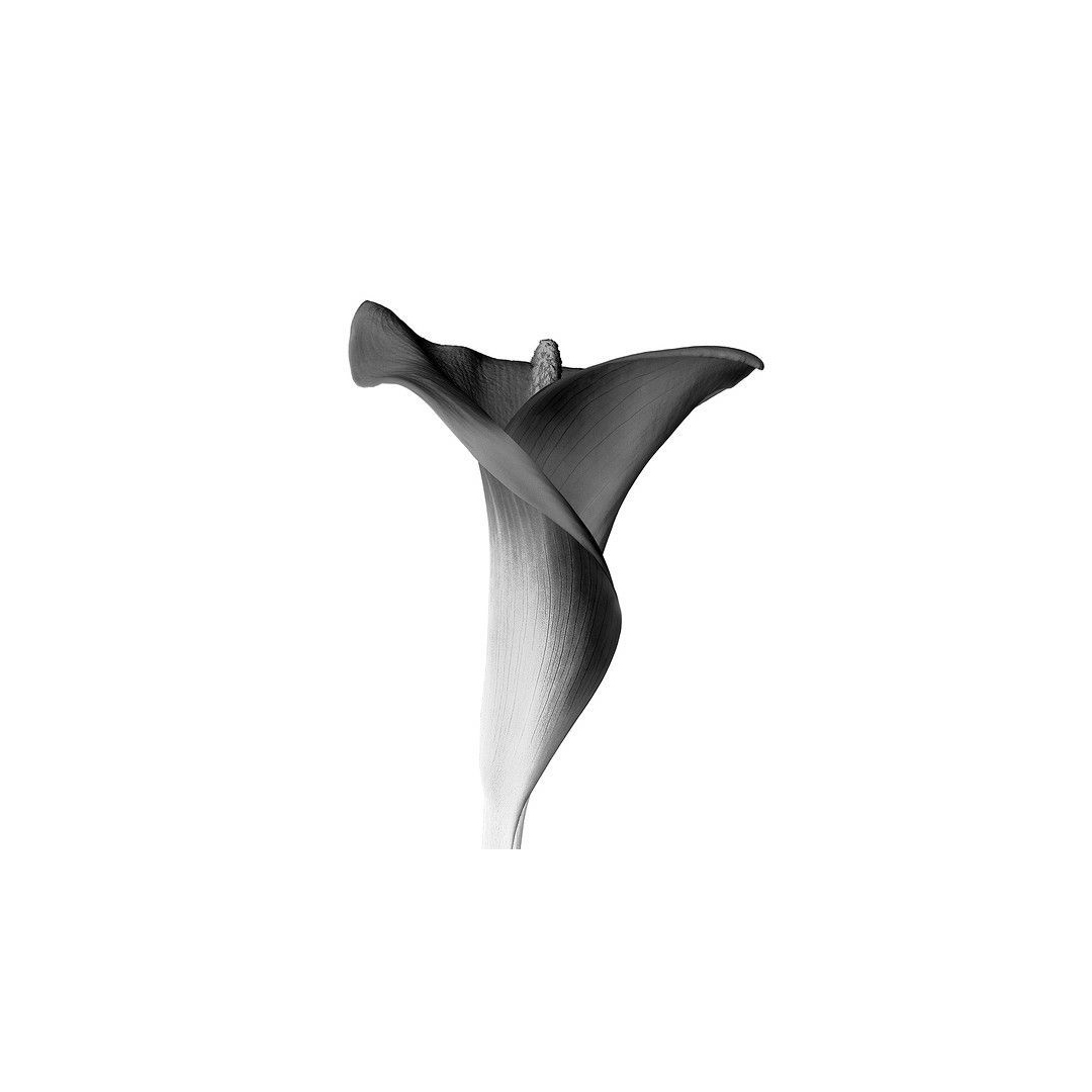 matteoberaldi's tweet photo. MBDO / ITALIAN DESIGN OFFICE / 2020
.
MOOD
.
TRIS PROJECT
.
#mbdo #design #productdesign #lightingdesign #project #matteoberaldi #designoffice #research #designconsultancy #designstudio #industrialdesign #light #shape #totalwhite #lightness #function #ceramic https://t.co/bmQaHZXKBg