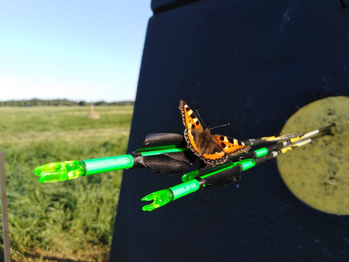 tirambarc_cat's tweet photo. Entrenaments amb bona companyia 🦋

📸 En @Sergicebrianarc ens envia la foto des de Suècia. El seu entrenament diari comença a les 5AM perquè cal aprofitar les hores de sol al màxim 🌞 

I aquest és el regal de llevar-se ben d’hora: tenir una companyia arquera immillorable !! https://t.co/69s0FAcf37