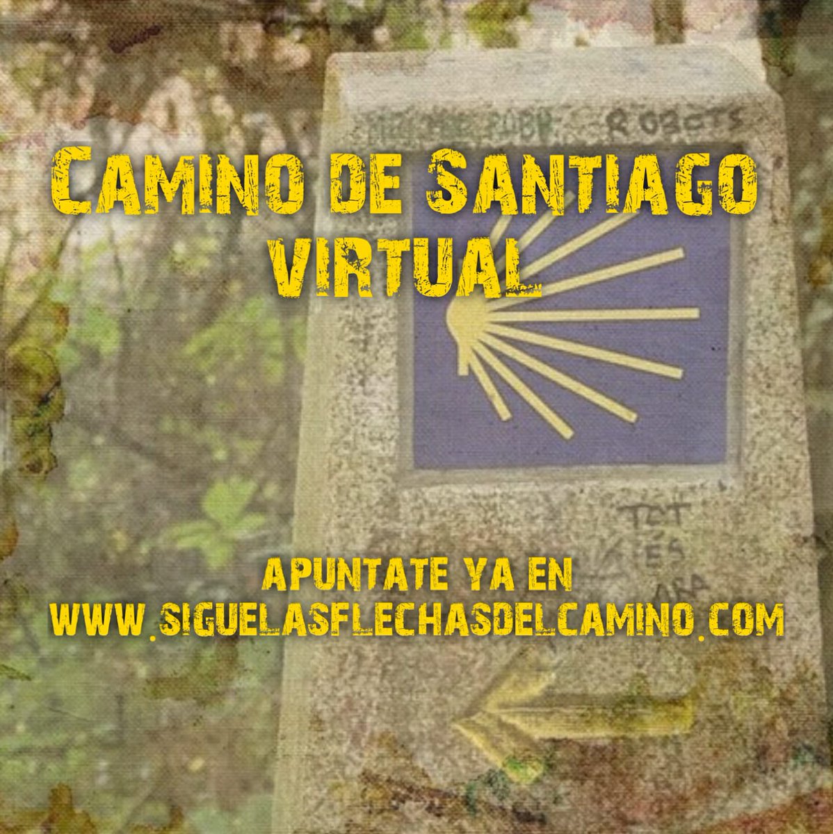 flechascamino's tweet photo. ¿te gustan los retos? Apúntate a vivir uno nuevo con el Camino de Santiago Virtual y vívelo de una manera diferente.
Última semana para apuntarse, hasta el dia 4 de Julio ¡no te quedes sin tu plaza! 💪🏻👣😉💛

Toda la información en nuestra Web 📲 https://t.co/auUowd2XBC
