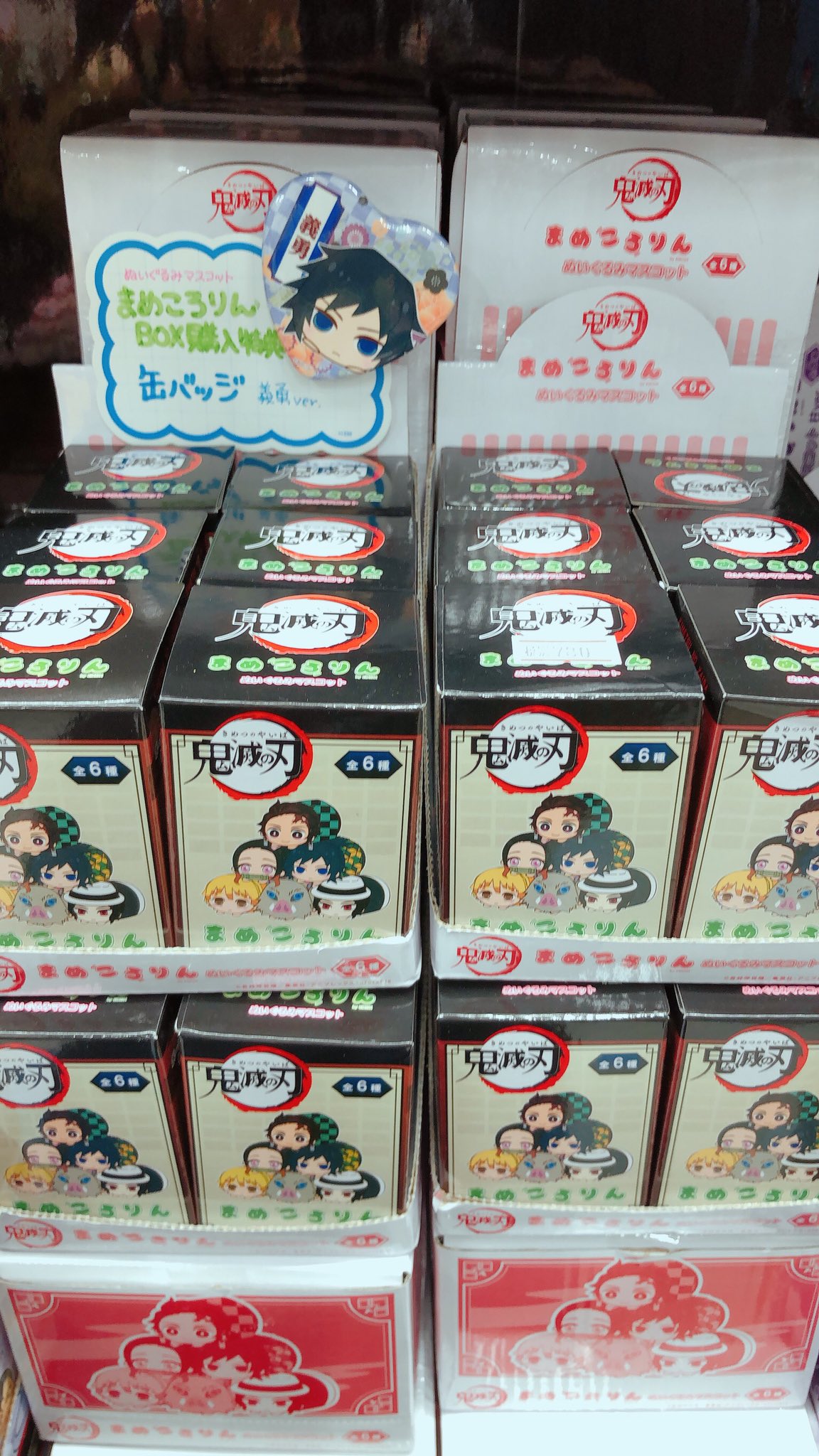 アニメイト天王寺 平日12時から時まで土日祝11時から19時まで 商品情報 鬼滅の刃 まめころりん 好評発売中です もちころりんとサイズ比較してみました 2枚目 可愛すぎやしませんか Box購入で缶バッジも付いてきます 是非