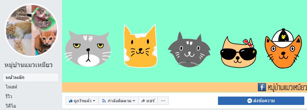 BoonleeL's tweet photo. เพจใหม่ใครไม่รู้ แต่น้องแมวน่ารักมาก ทาสทั้งหลายไปฟอลกันนน
#ทาสแมว #10กันยามาแน่ #HowYouLikeThat https://t.co/zE9P2PcZRI