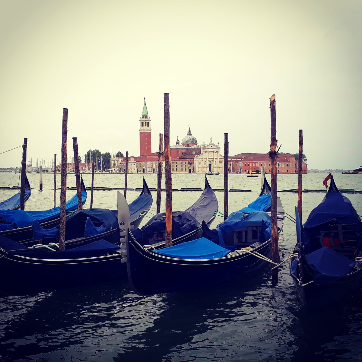 comunevenezia's tweet photo. C'è una nuova foto su #instagram
#26giugno2020 - Buon venerdì da #Venezia - Gondole in riva di San Marco (dt)

📲https://t.co/jxT1KDURwk https://t.co/95oZsg0jV5